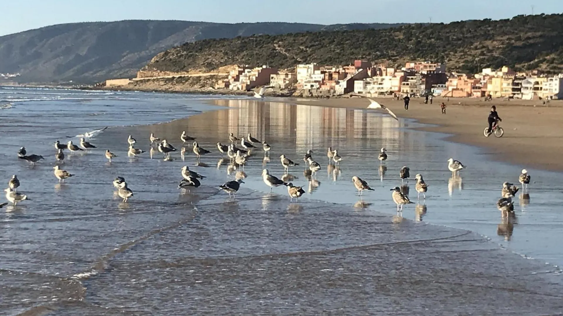 Apartament A10 Bel Appartement A 300M De La Plage Agadir Maroko